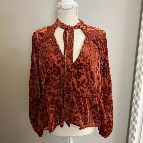 By Anthropologie Velvet Tie-Neck Blouse Size Medium - Picture 4 of 11